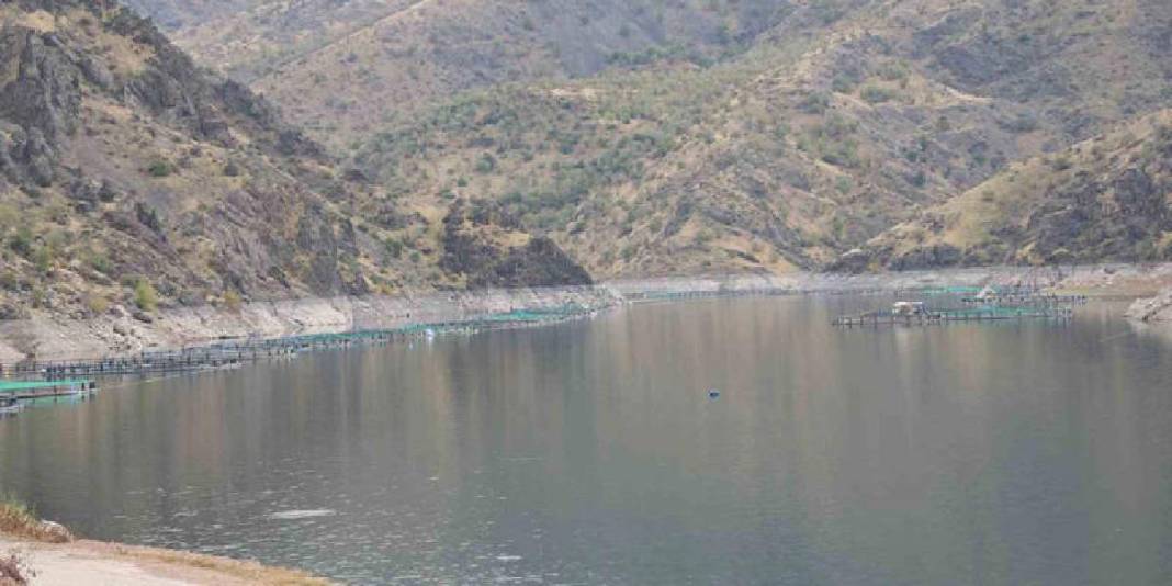 Diyarbakır’dan dünyaya “Mezopotamya somonu” ihracatı! 500 ton üretim kapasitesi var: 1 yılda büyük başarı 2